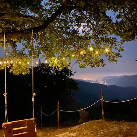Starsbox Tendù
