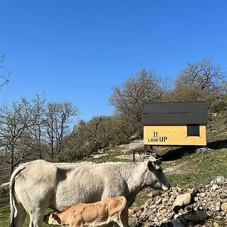 Starsbox Tendù *